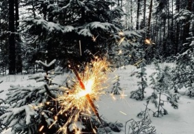 Коттедж Золотой дракон в Амурской области