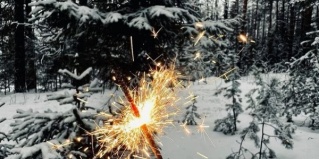 Благовещенск: Коттедж Золотой дракон