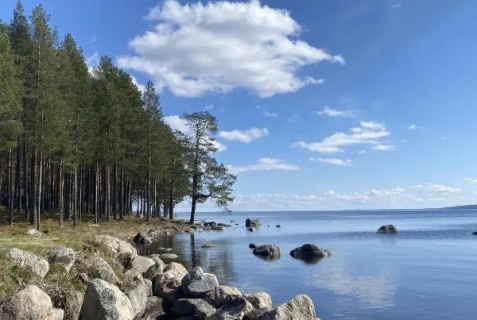Коттедж «Карелия Медвежка», Медвежьегорск — фото 3