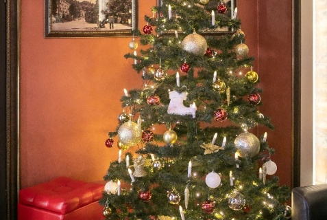 Сочи: Отель Жемчуг