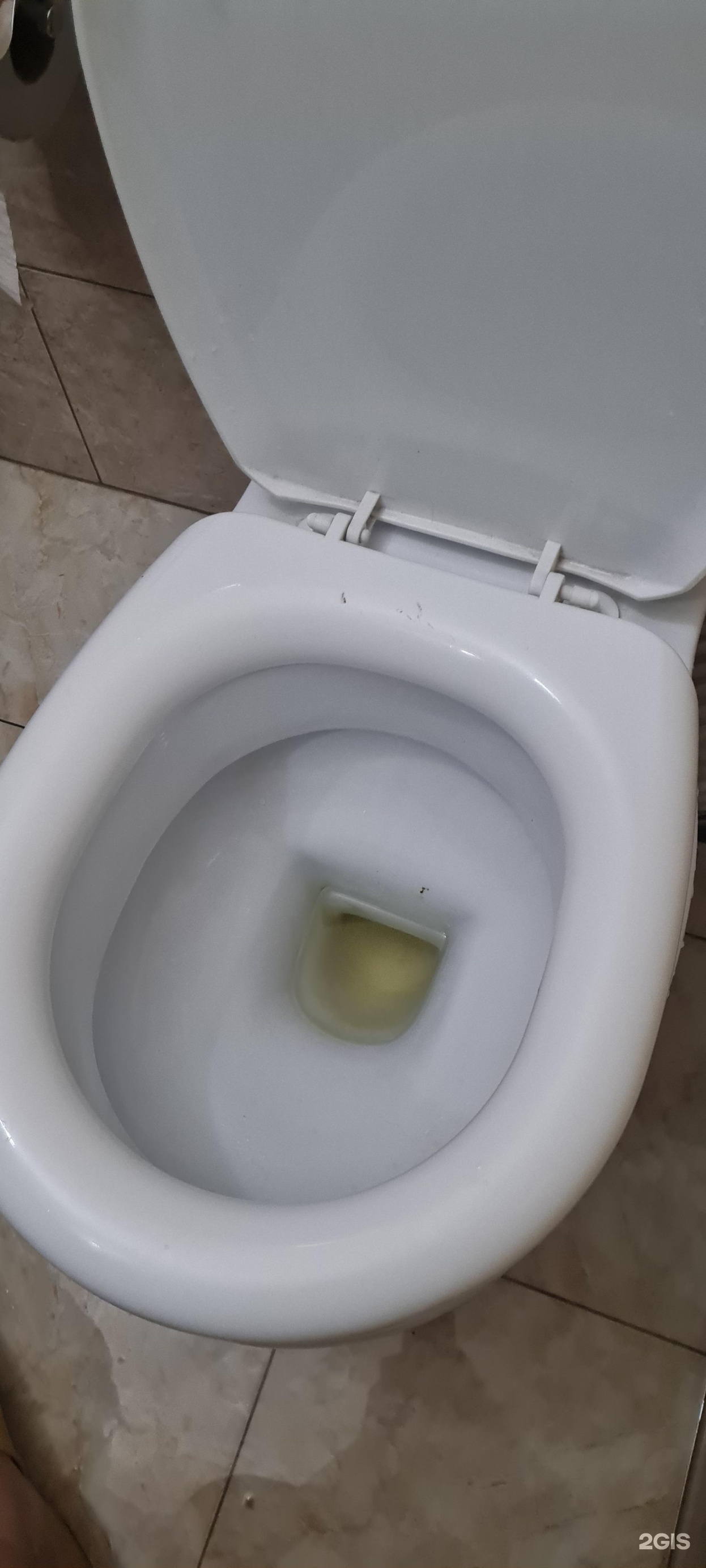 Жаным