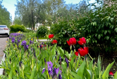 Нижнекамск: Отель Дом иностранных специалистов