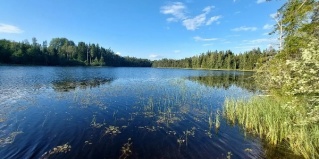 Станки: Турбаза Домдом валдай