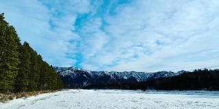 Чемальский район: Отель Шелест