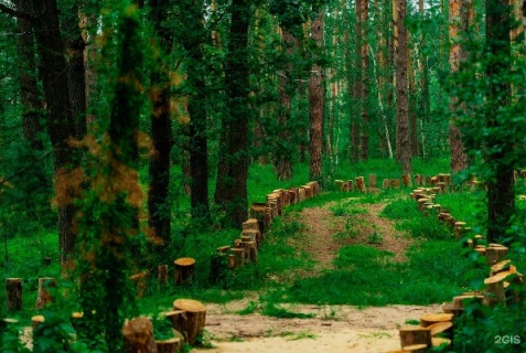 Рамонский район: Отель Папоротник