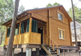 Коттедж Pine House в Самарской области