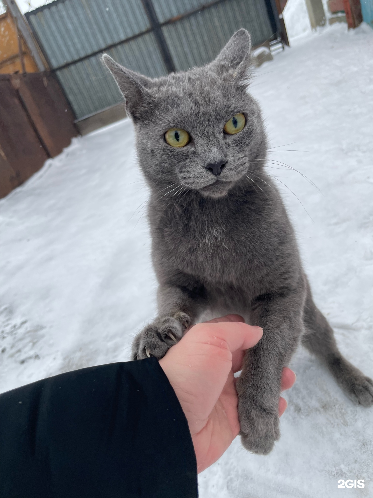 Русская баня
