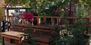 Сочи: Коттедж Елизавета