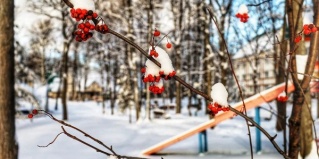 Самара: Отель Дубрава