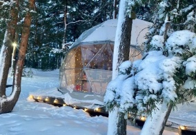 Глэмпинг Веззика в Ленинградской области