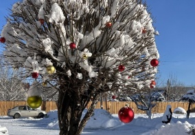 Гостевой дом Белый аист в Алтайском крае