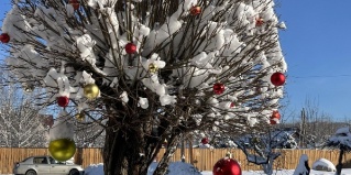 Ая: Гостевой дом Белый аист